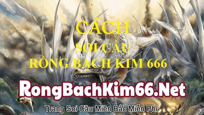 Các cách soi cầu rồng bạch kim 666 bất bại