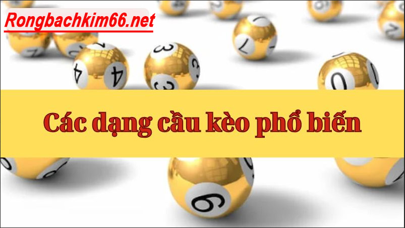 Đa dạng các loại cầu kèo cho anh em chọn lựa