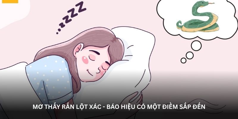 Mơ thấy rắn lột xác - Báo hiệu có một điềm sắp đến