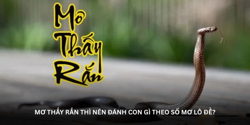 Mơ thấy rắn thì nên đánh con gì theo sổ mơ lô đề?