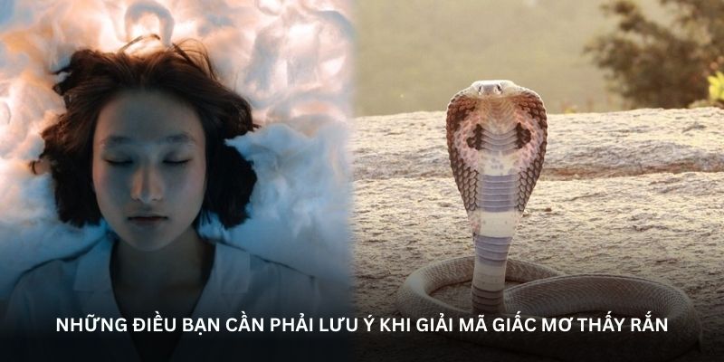 Những điều bạn cần phải lưu ý khi giải mã giấc mơ thấy rắn