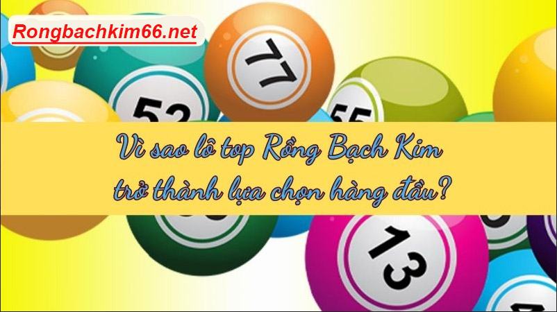 Những lý do nên lựa chọn lô top