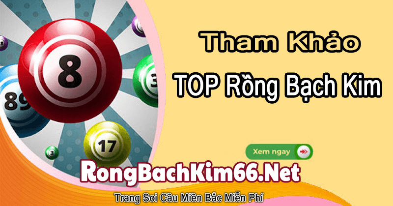 Tham khảo top rồng bạch kim