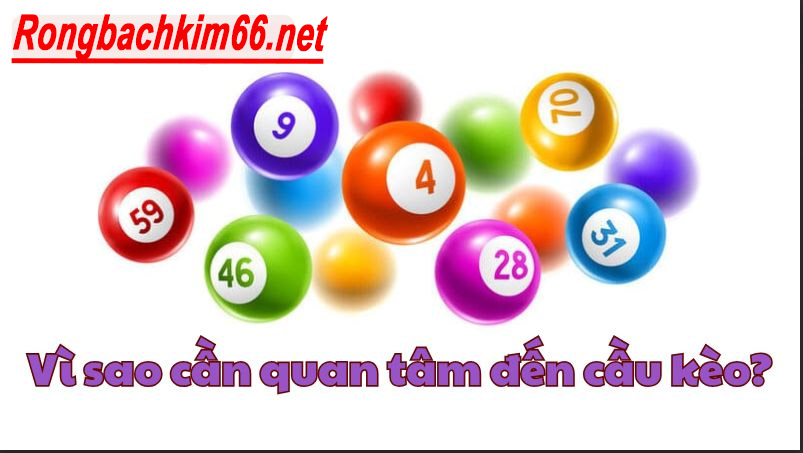 Có nhiều lý do thuyết phục nên chọn cầu kèo
