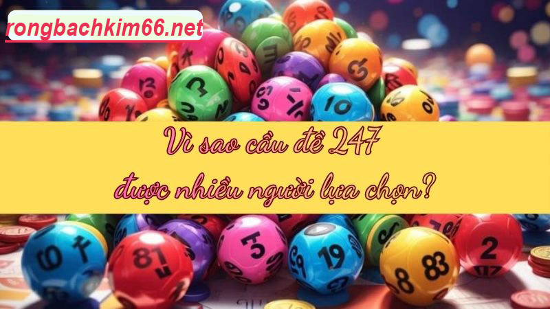 Lý do cầu đề 247 được nhiều người yêu thích