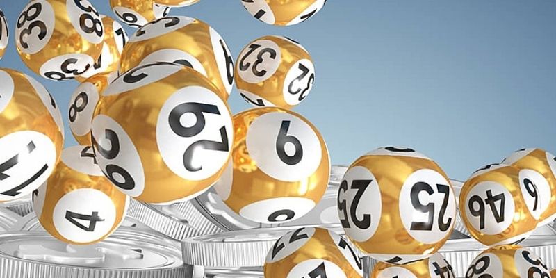 Giải mã chi tiết các trường hợp mơ thấy bị chó cắn