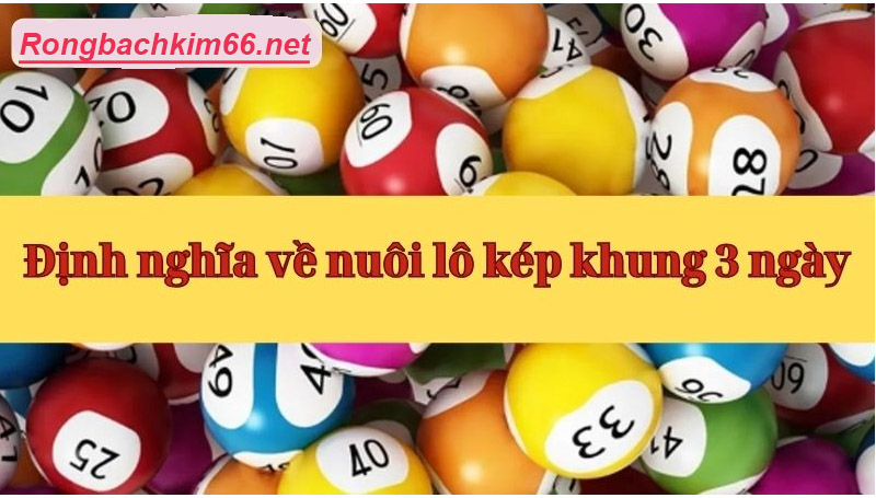 Bật mí phương pháp nuôi lô kép nuôi khung 3 ngày siêu chuẩn ăn chắc