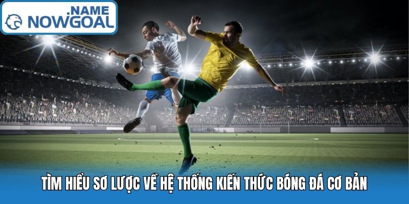 Tìm hiểu sơ lược về hệ thống kiến thức bóng đá cơ bản