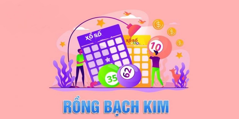 Soi Cầu Bạch Kim Là Gì Và Những Thông Tin Bạn Cần Biết