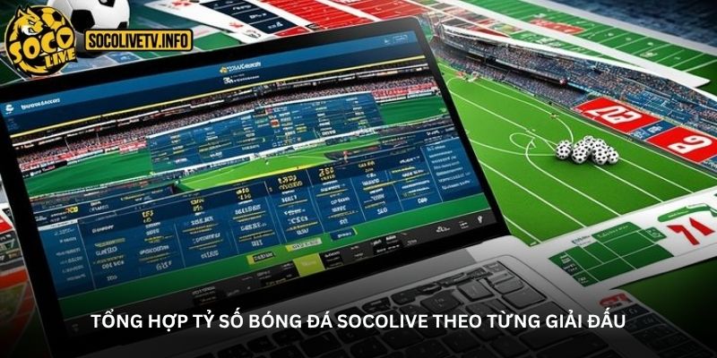 Tổng hợp tỷ số bóng đá Socolive theo từng giải đấu